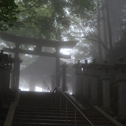 キツネの話 대표 이미지