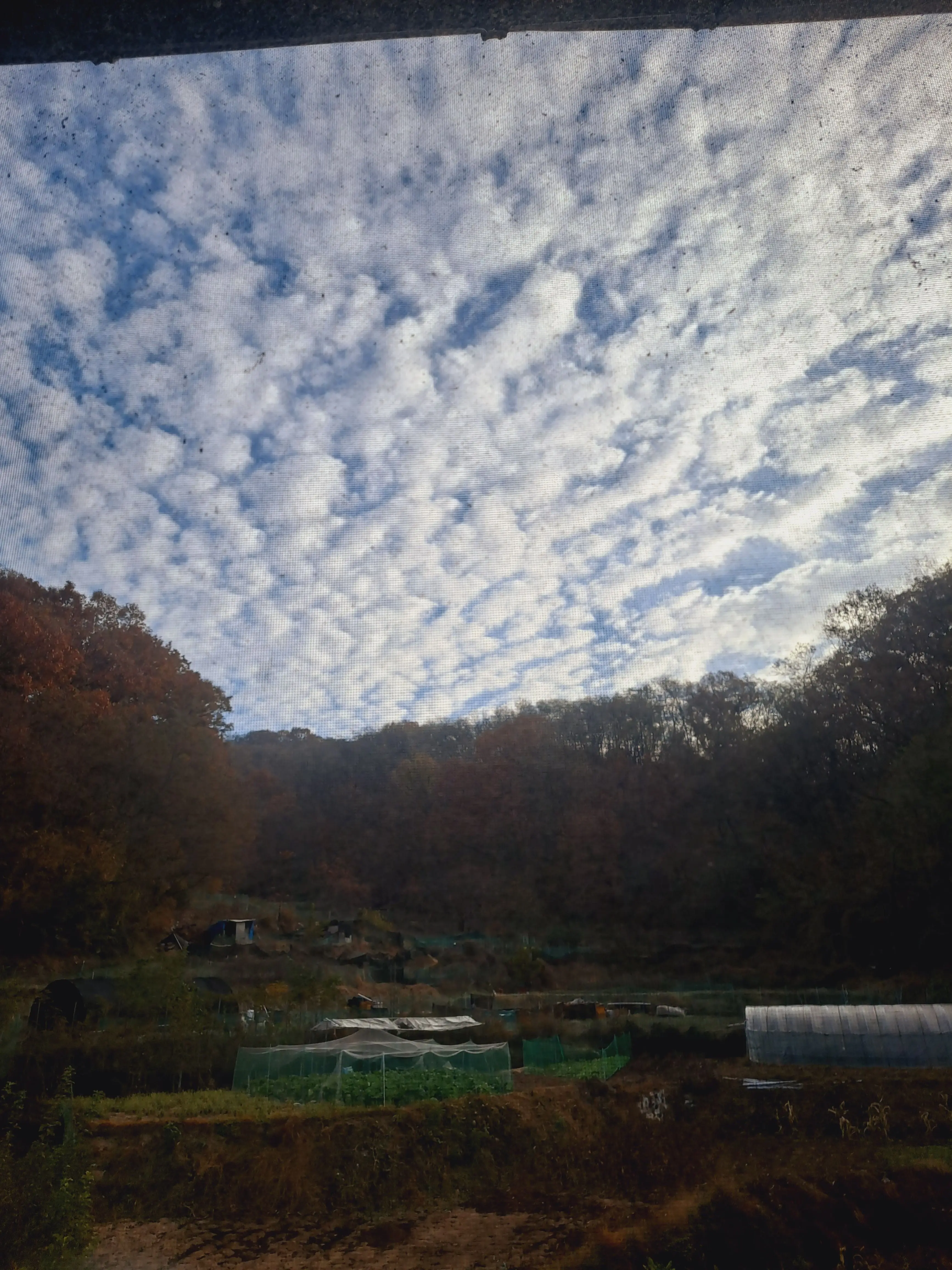 RoundPlank5084의 마지막연주