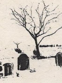 The Juniper Tree 대표 이미지