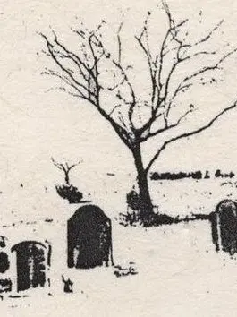 Polyphagia의 The Juniper Tree