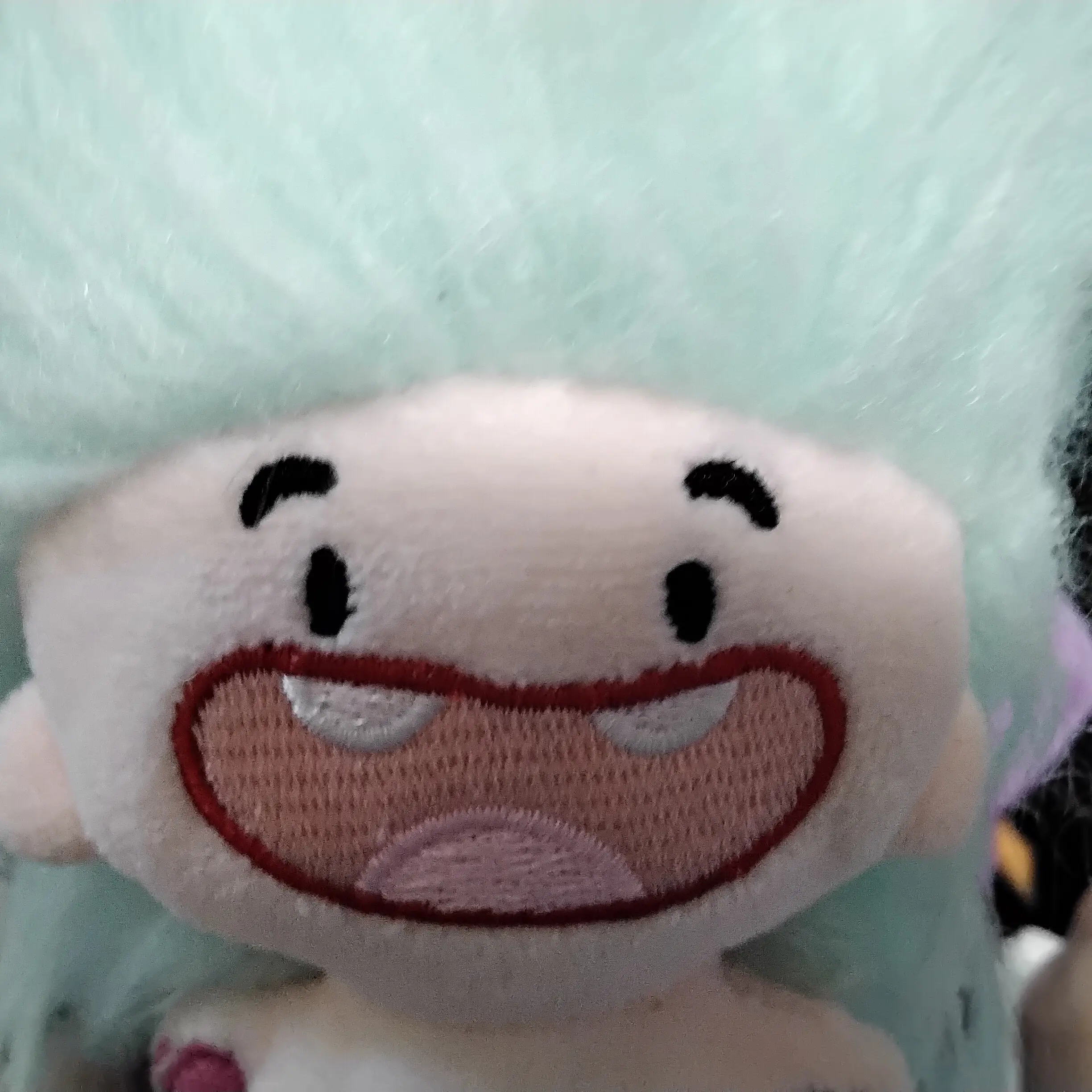 RegalCat4269의 고프랑 놀자!