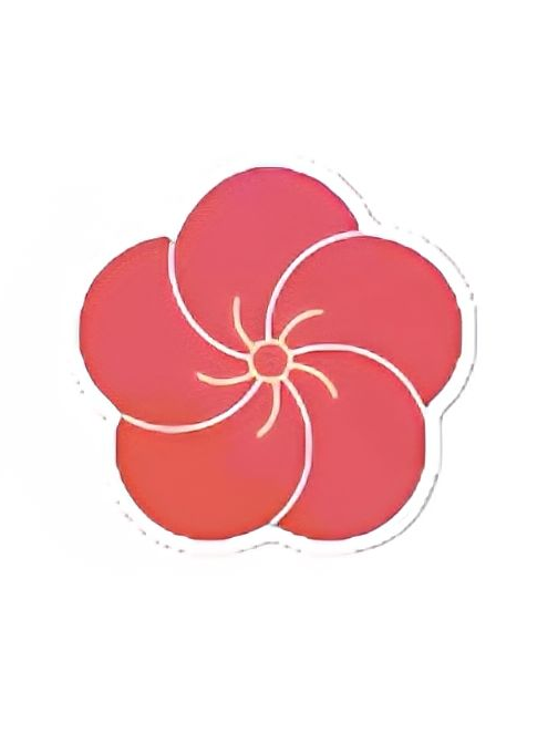 🌸 대표 이미지