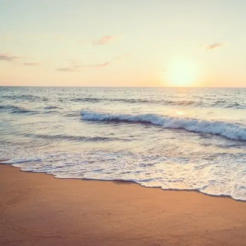 Lil.sleep45의 Beach trip