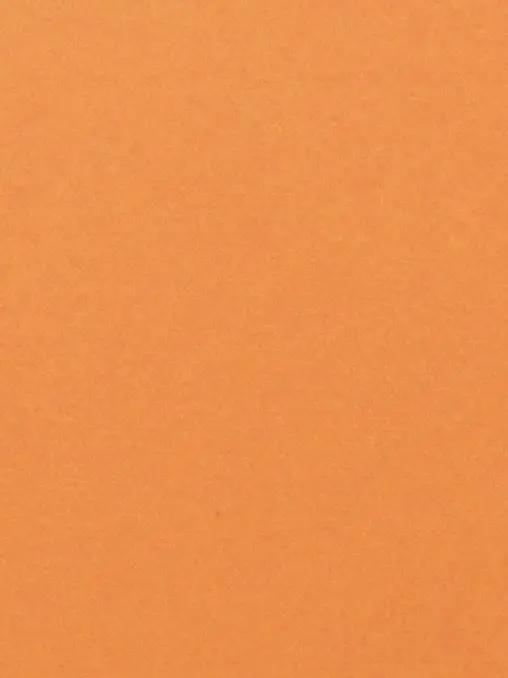 PeachyTape9157의 여우를 참교육하세여!