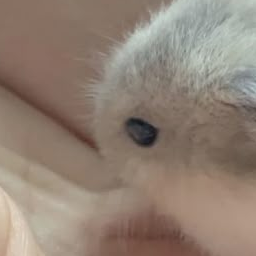 정신병동에도 아침이 와요 대표 이미지