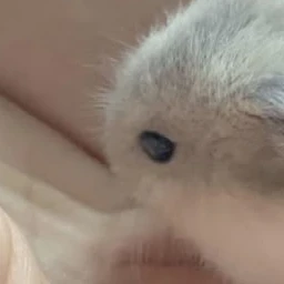 정신병동에도 아침이 와요