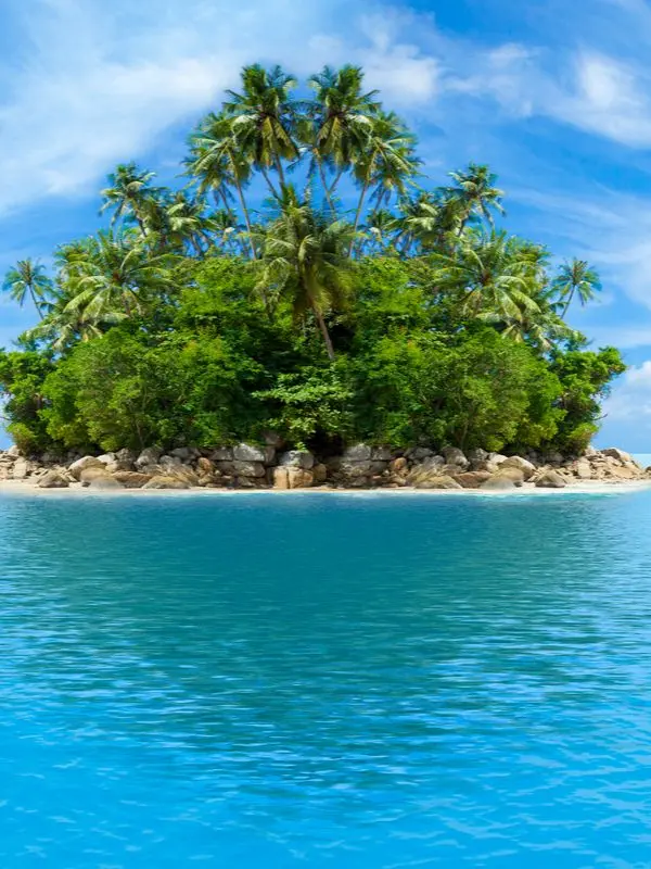 EthnicDodo1975의 당신만이 유일한 생명체임