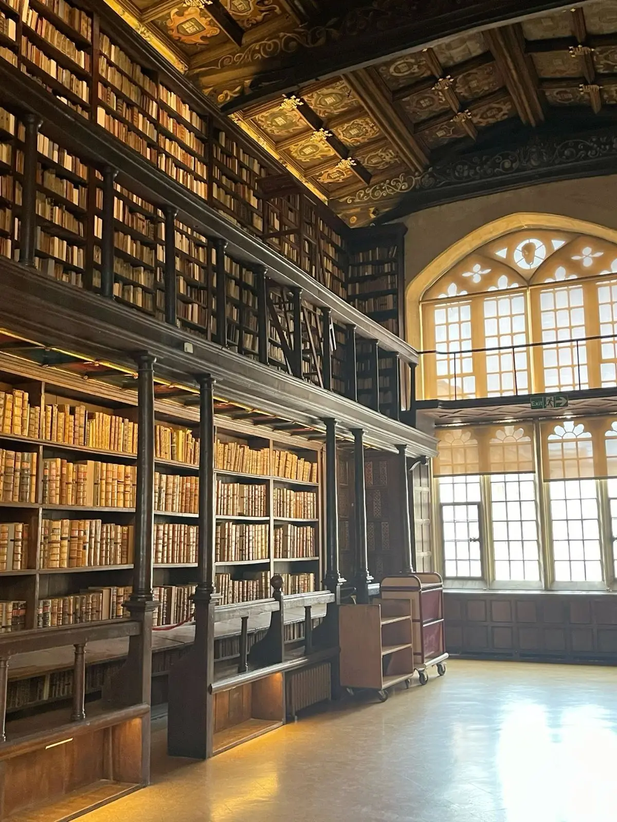 kise__의 図書館に舞い降りた一筋の光。