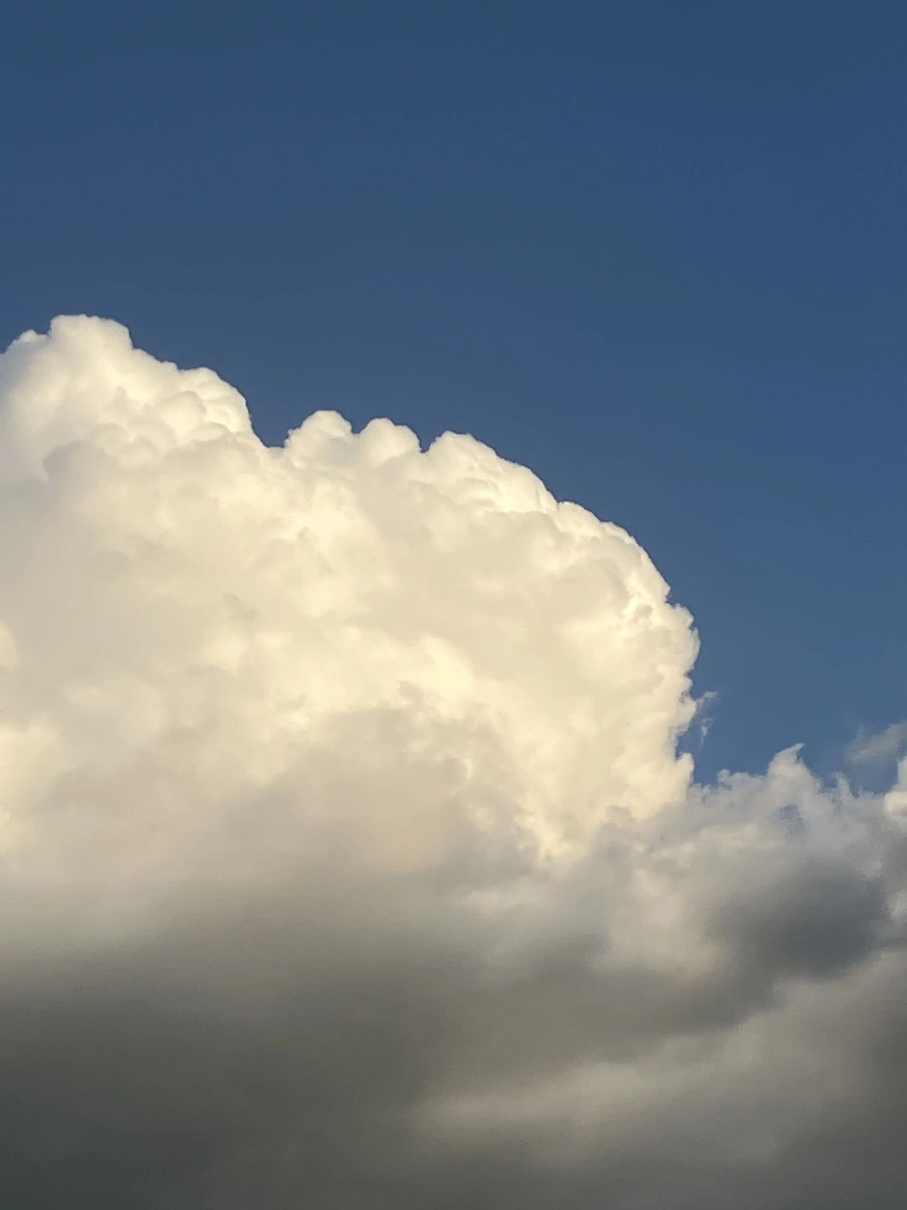 Actinomycosis의 소방서 옆 경찰서 그리고 국과수