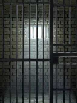 NoisyLlama2720의 20歳まで赤ちゃん扱いされる世界（牢屋）