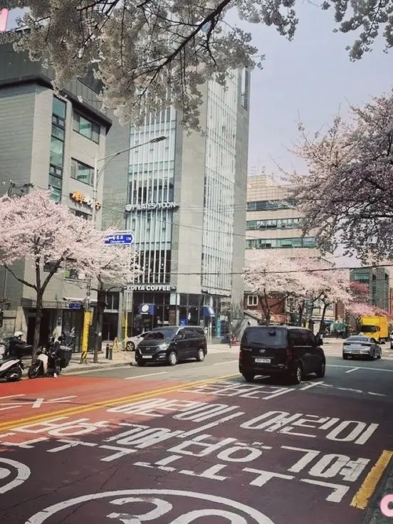 Bubble_Tea2의 Friends?