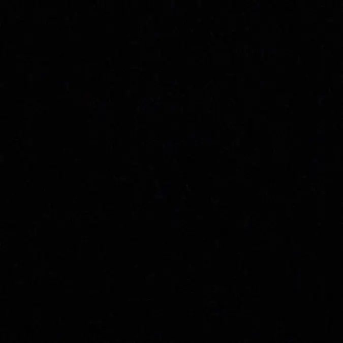 CurvyLand2423의 황현진