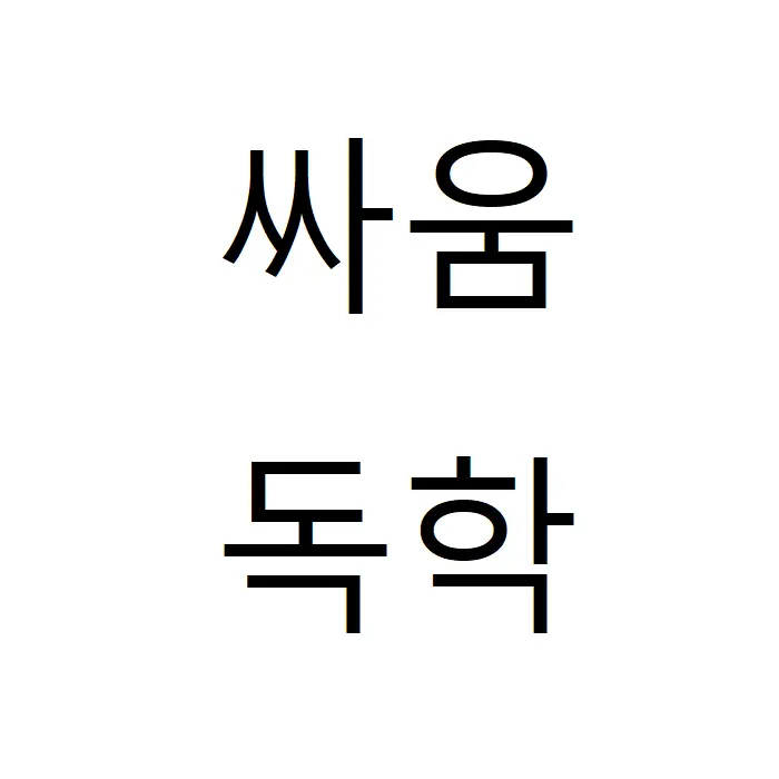 123123a의 싸움독학