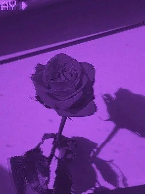 Yousayimcrazy의 과거, 가장 아름다웠던 모습