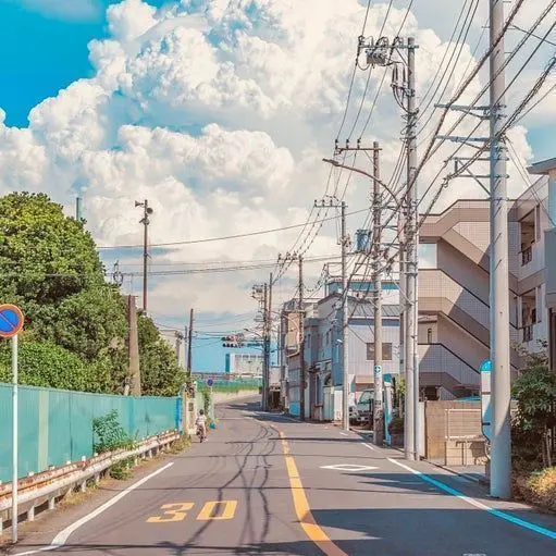 Aespasaranghae의 수인들