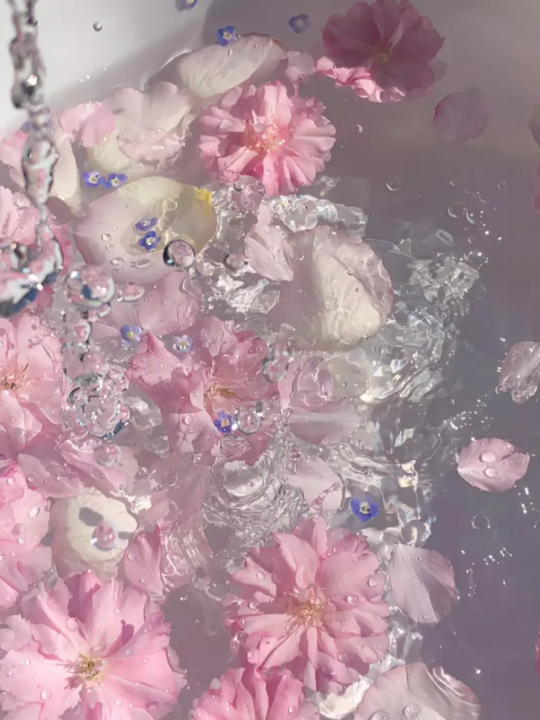 Hamuti의 愉快な芸能一家