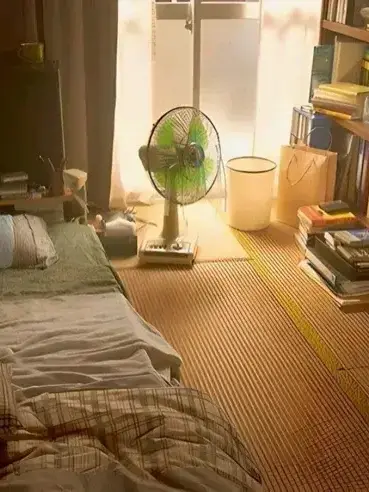 TainTain의 인간이? 아닌 것들과 동거하기