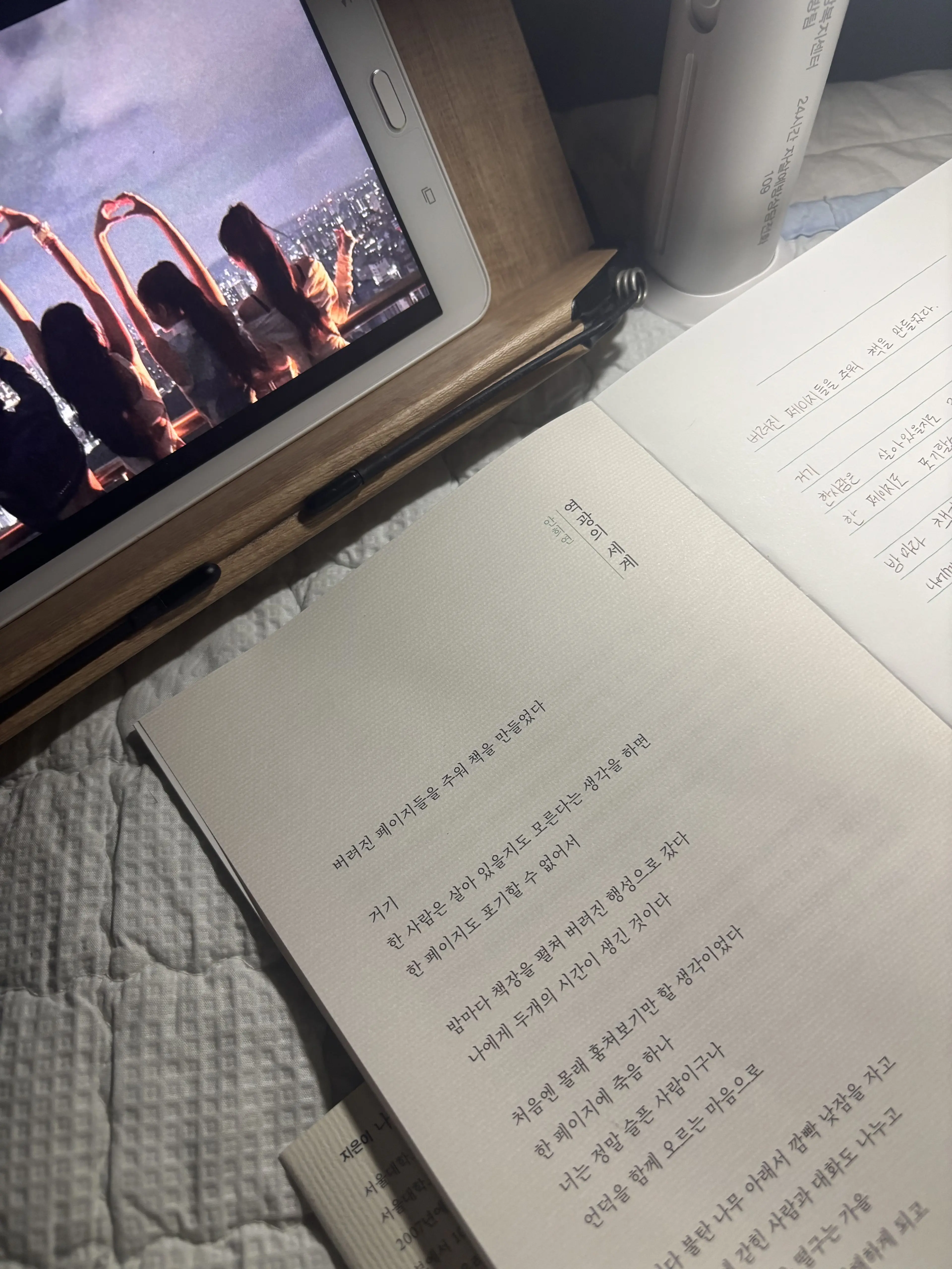 ItchyGhost1391의 한 T 산