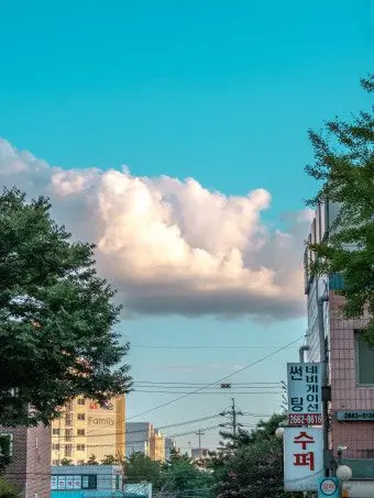 brave-candy._.1004의 ㄱㅅ8ㅎ