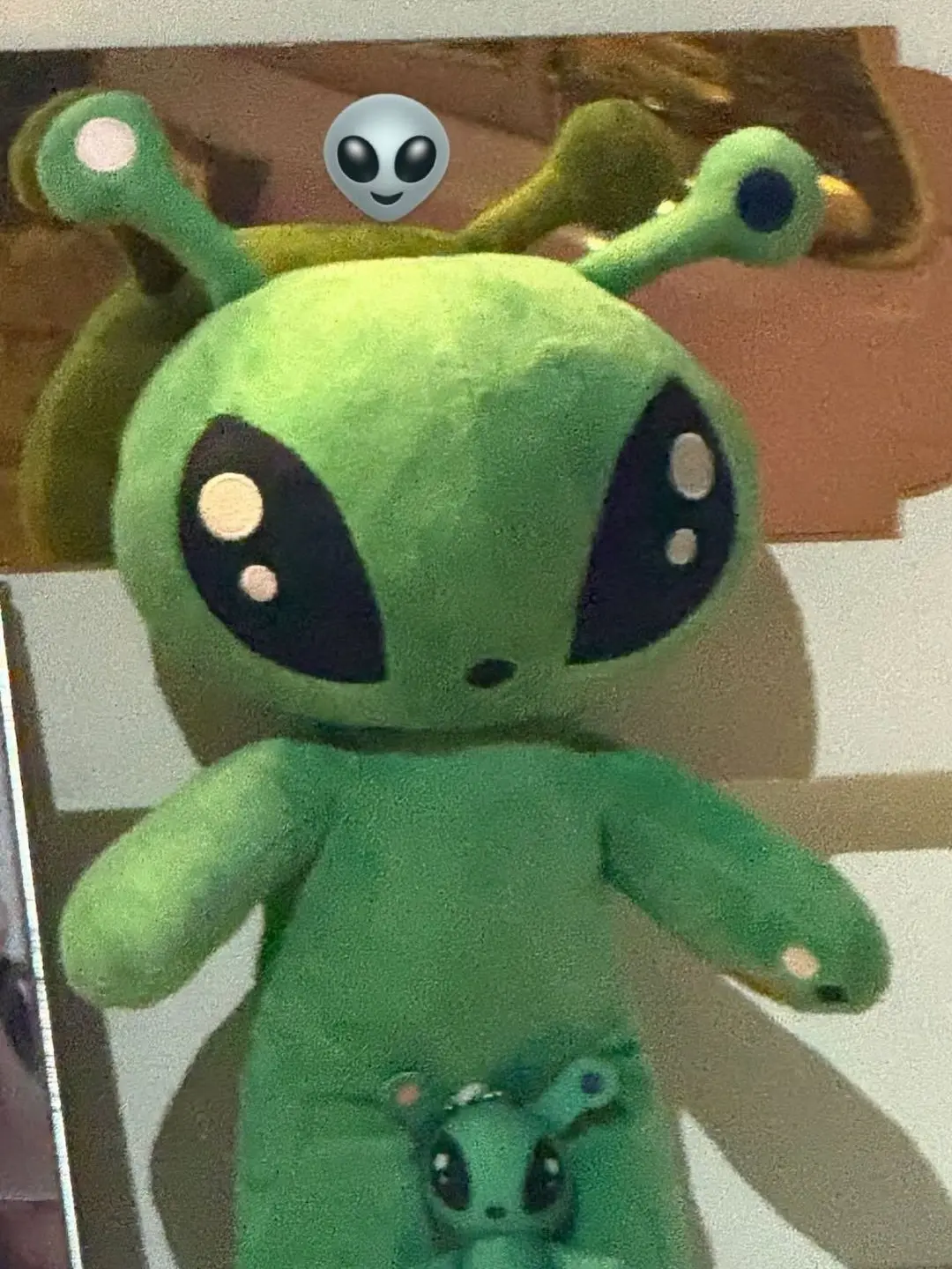 tiny288876의 박지훈