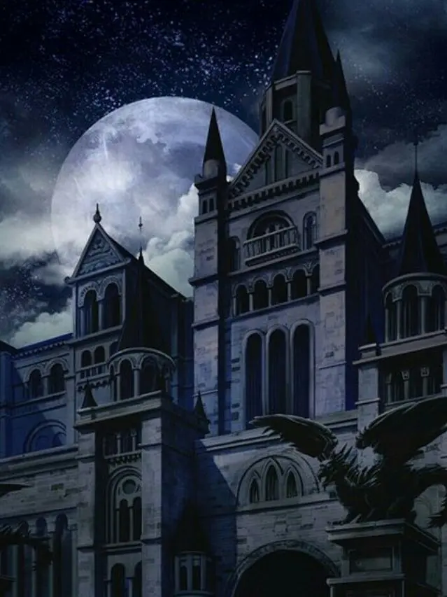 Chaeso4224의 악마의 꽃