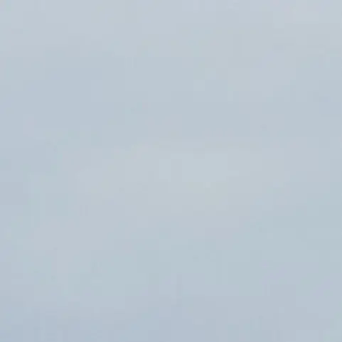 SleepySwan1403의 친오빠 이상혁