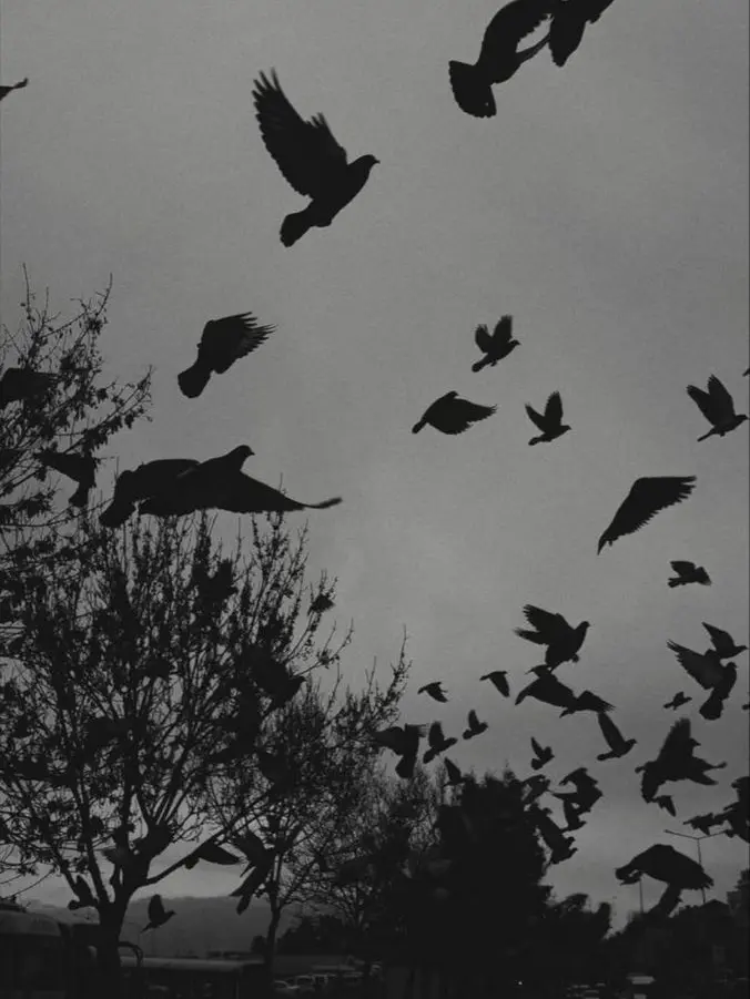 Neverland0410의 手下(女性リクルーターもあり♡)