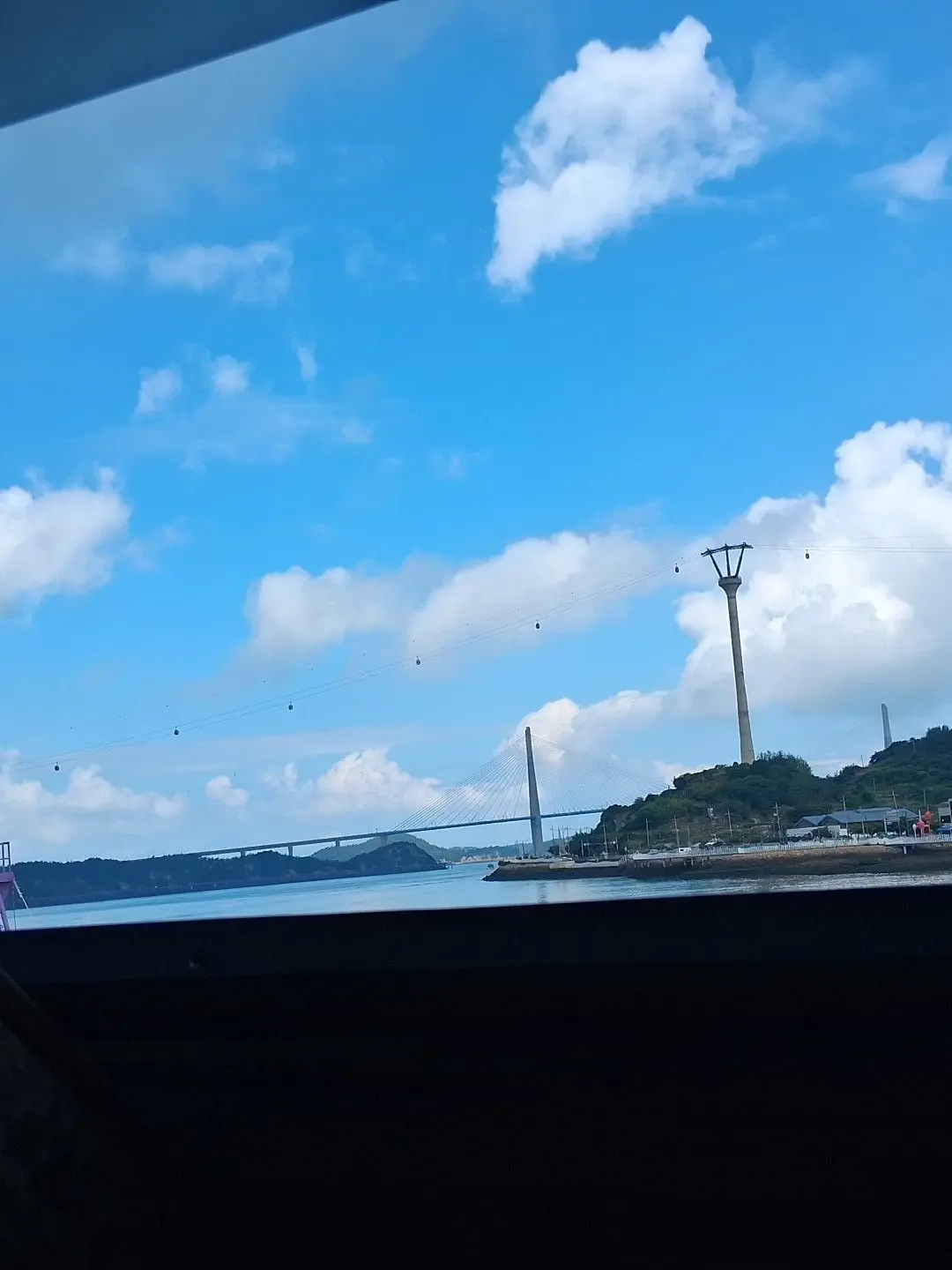 PluckyFlame1931의 야생동물하고 싸우기