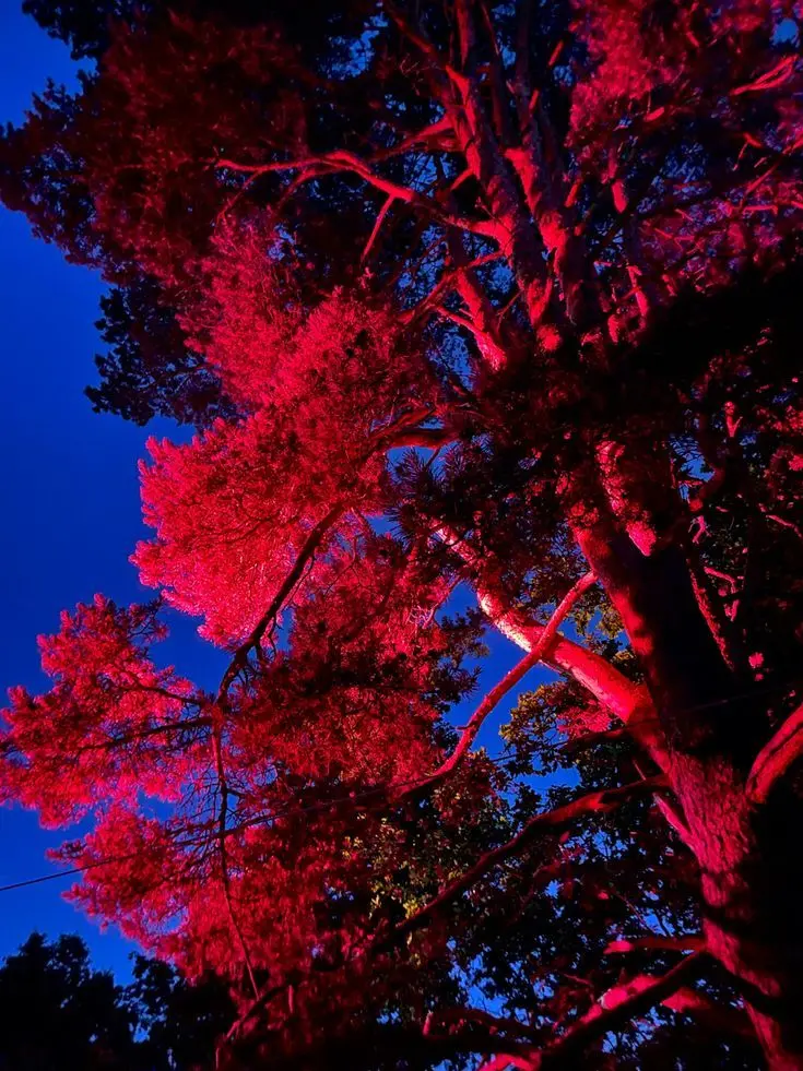 Cc_N의 [BL]백도혁, 백도원