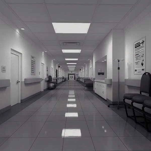 lonelycroissants의 패러다이스 병원