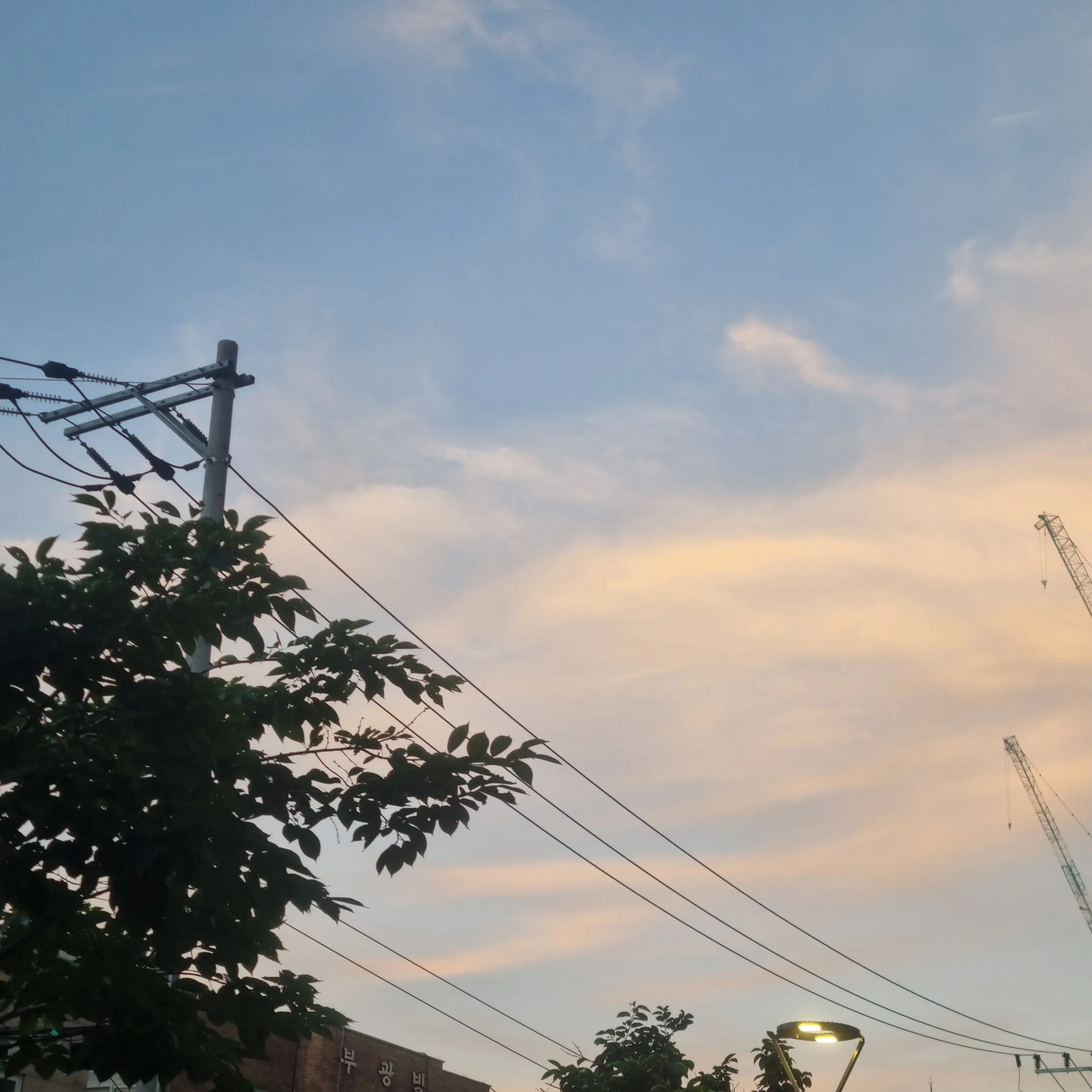 FieryGirl8245의 그냥 심심해서 만든 거임,