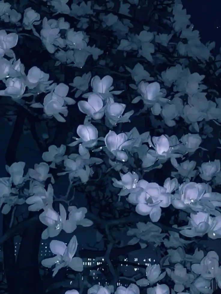 xeo_7.yzn의 마음대로11