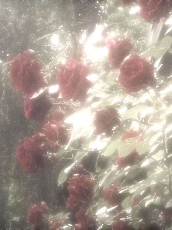 cacaoLOVE의 스네이프