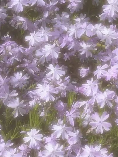 ggrkktt_071의 旦那さん