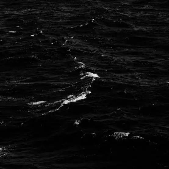 SmellyWorm5118의 양정인