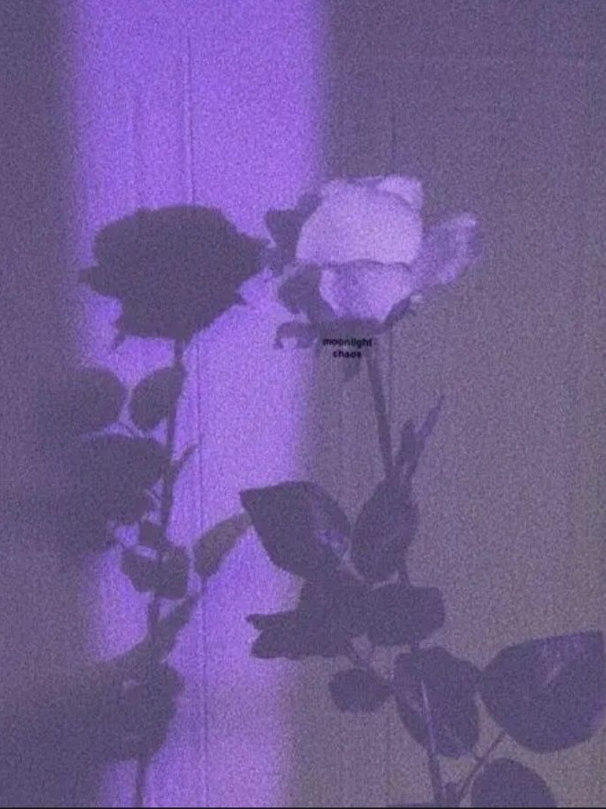 평학(인데 멘헤라) 대표 이미지