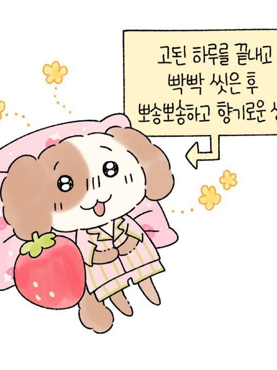 비비디바비부 대표 이미지