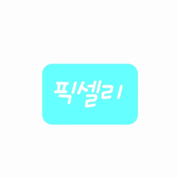 픽셀리ㅣ