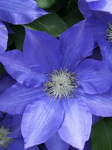 Trapp_3edw.의 親友くん