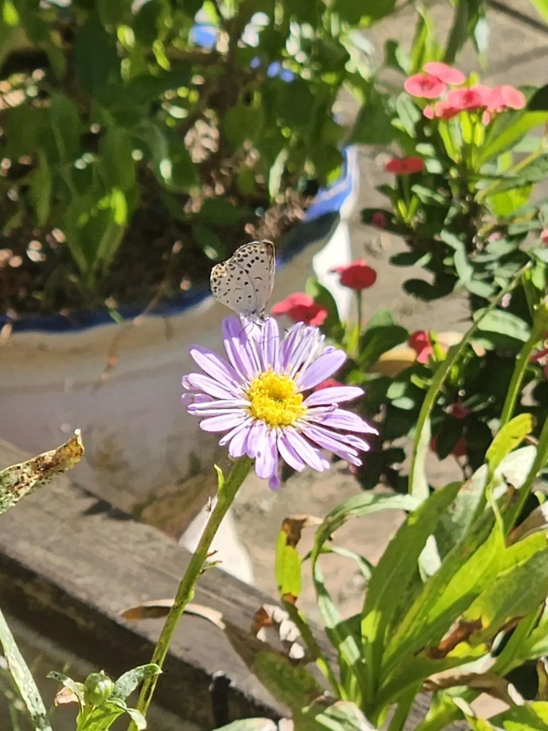 Heerubabo0.0의 기억 팀