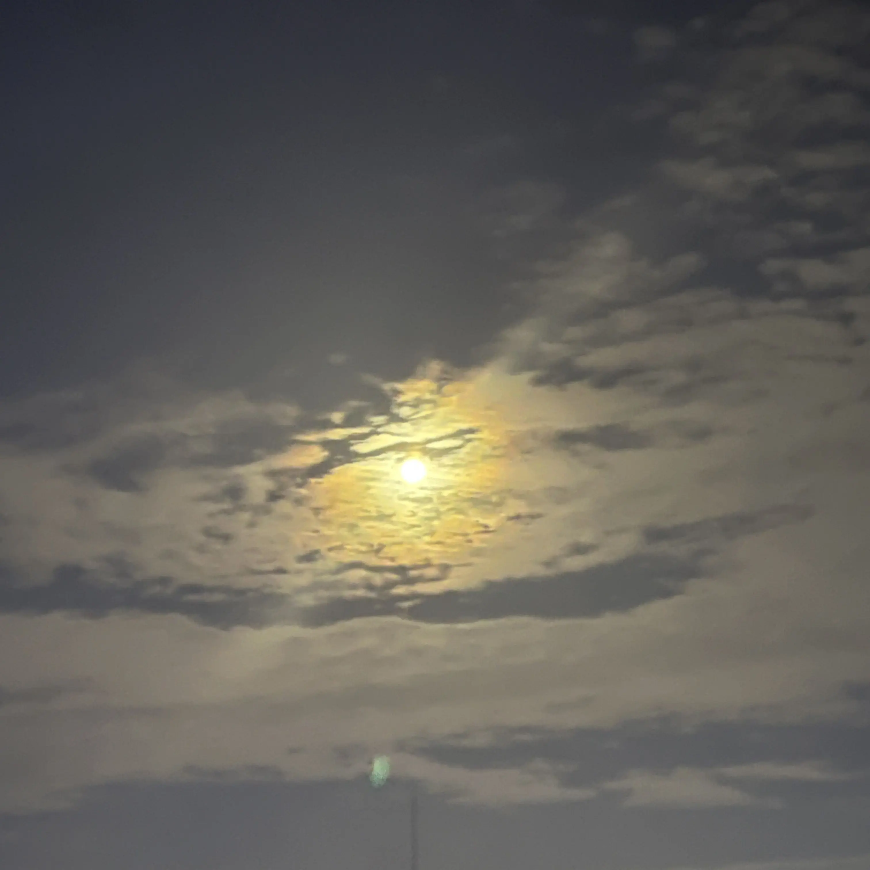 Reincarnationschoolmonster412의 웃소에 할로윈이 왔다으아아ㅏ아아악!!