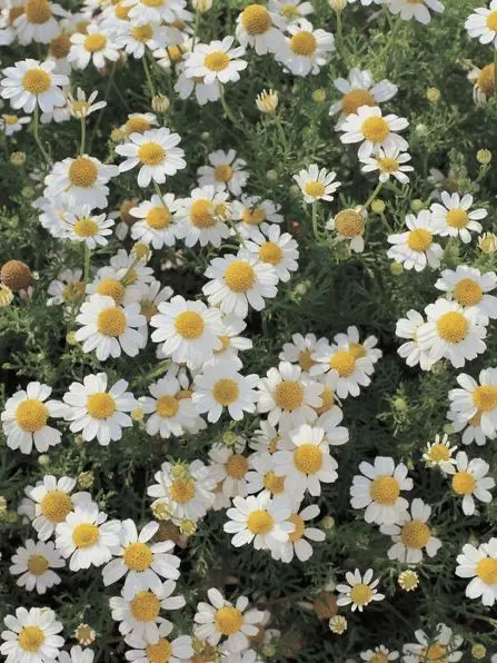 Itycode221의 시온 학생🤍