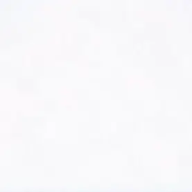 GD.TOP.SOL.D-의 토끼?