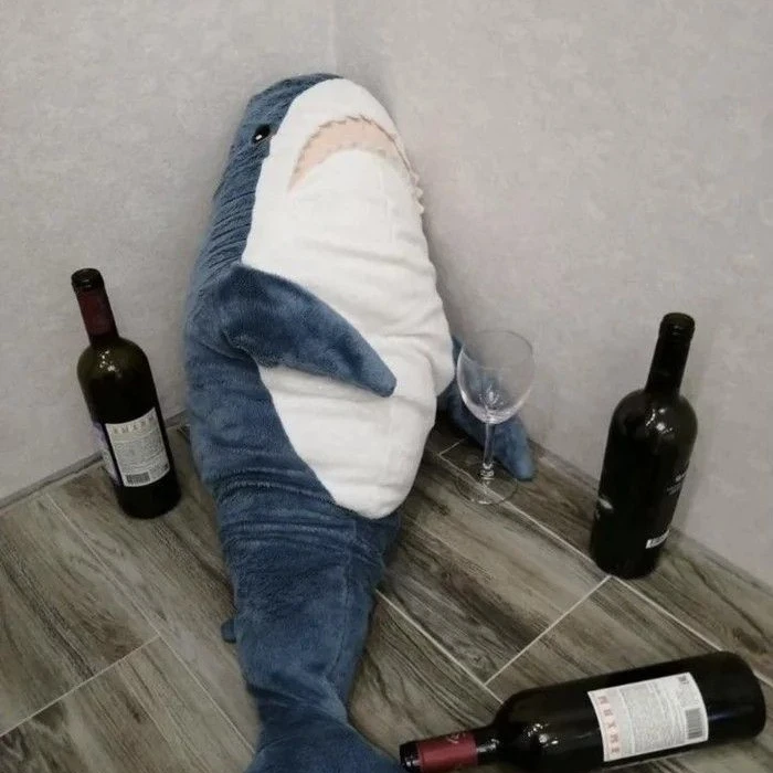 상어년