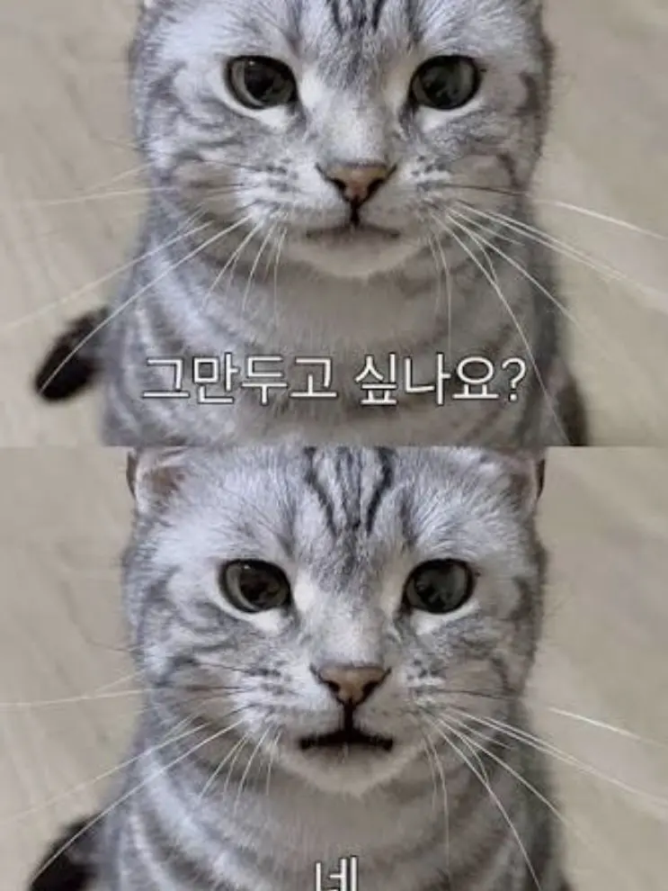 Lonelycustomer의 서열