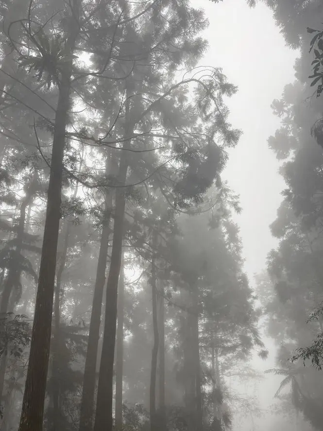 Brokenhearts의 FREE roleplay