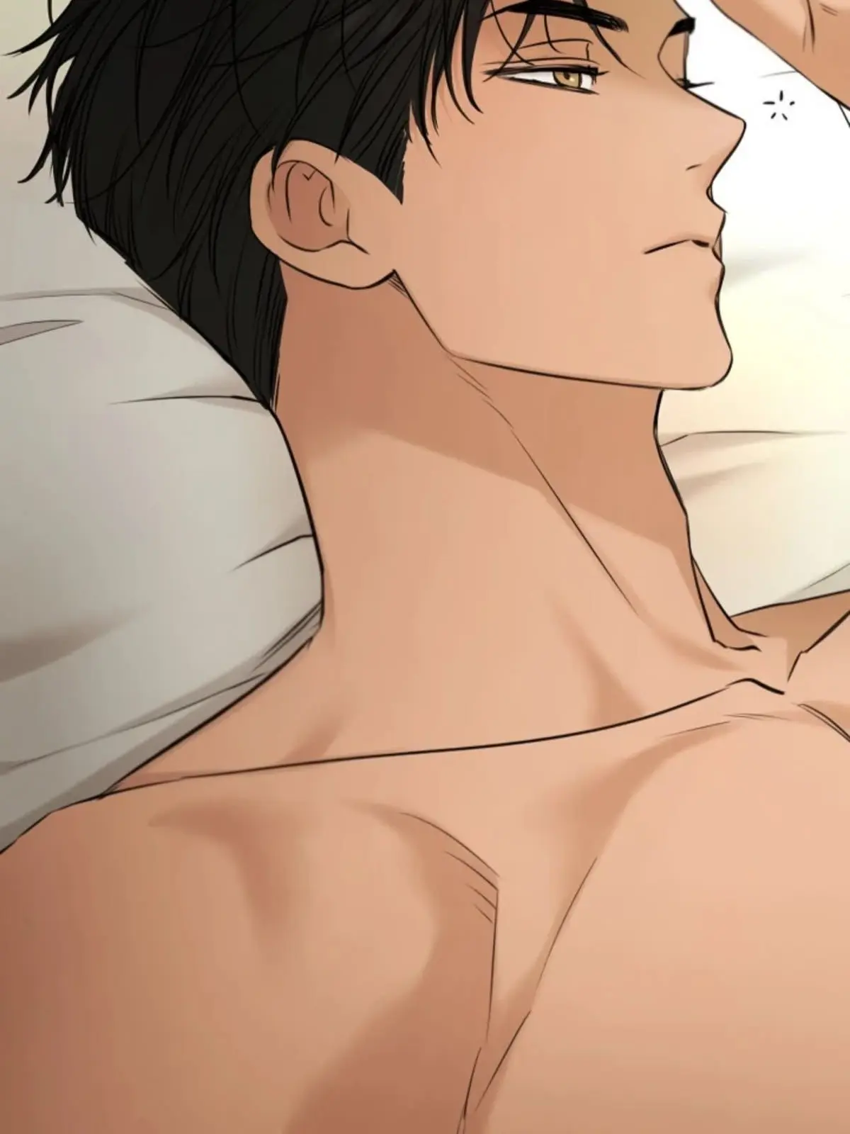 SureTrail9649의 Roommate