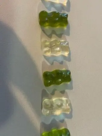 kim_myammi의 운터