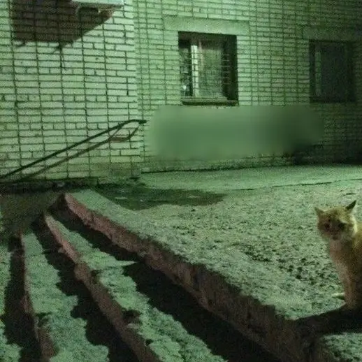 FabricAxe5954의 胡蝶之夢