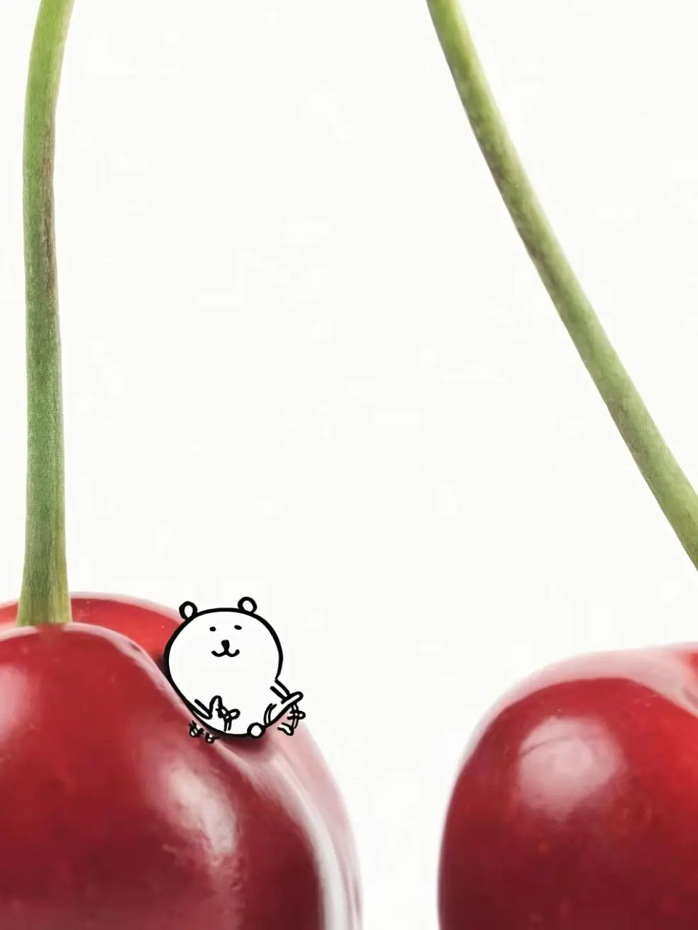 SleekEmber1838의 오늘부터 신령님